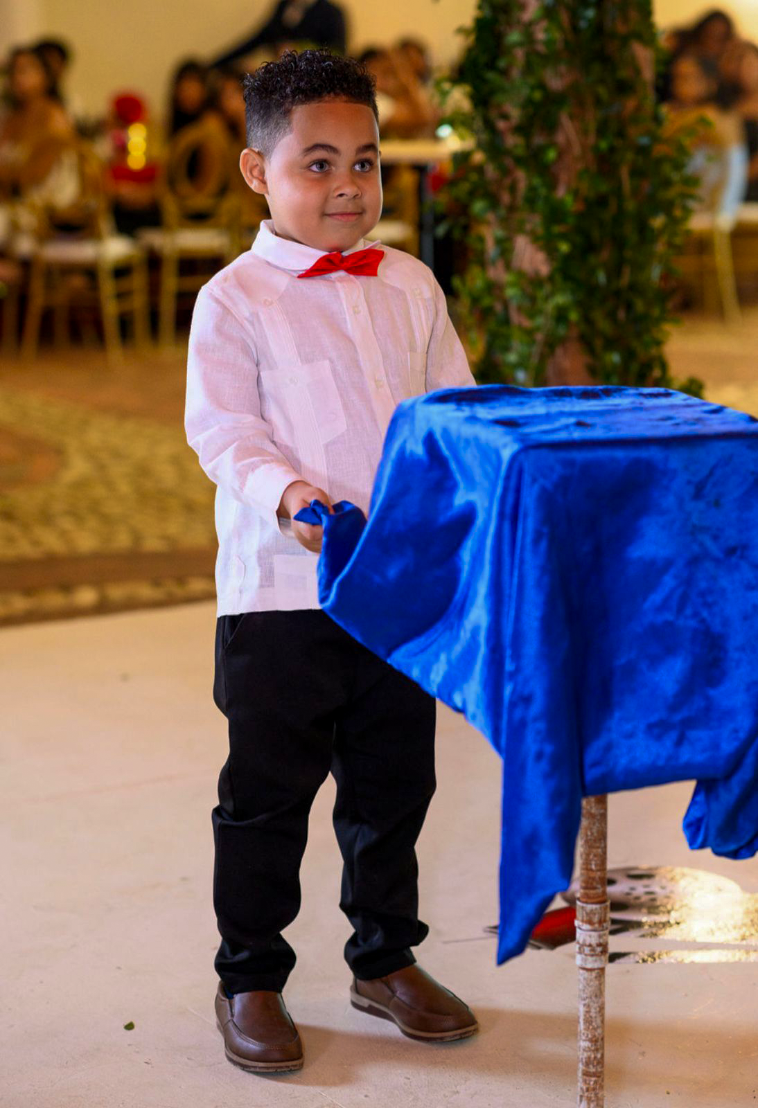 🎩✨ ¡Shows de magia en Santo Domingo! ✨🎩